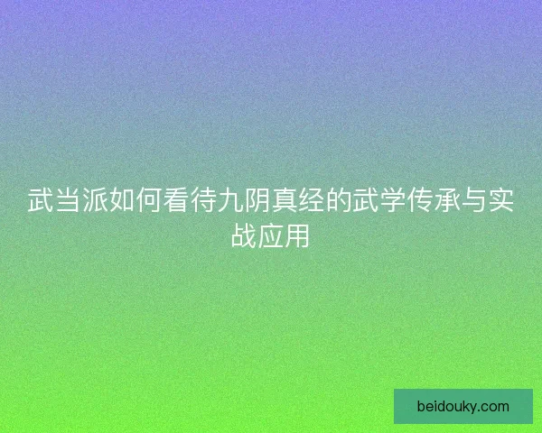 武当派如何看待九阴真经的武学传承与实战应用
