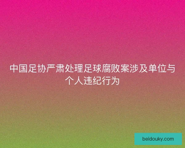 中国足协严肃处理足球腐败案涉及单位与个人违纪行为
